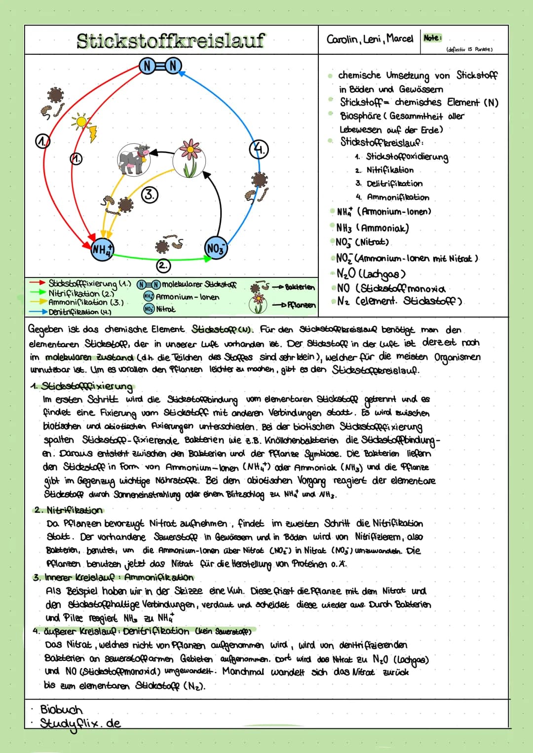 Stickstoffkreislauf
N=N
(NH)
Stickstofffixierung (1.)
Nitrifikation (2.)
Ammonifikation (3.)
Denitrifikation (4.)
(NO3
(2.
= molekularer Sti