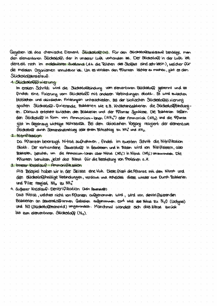 Stickstoffkreislauf
N=N
(NH)
Stickstofffixierung (1.)
Nitrifikation (2.)
Ammonifikation (3.)
Denitrifikation (4.)
(NO3
(2.
= molekularer Sti