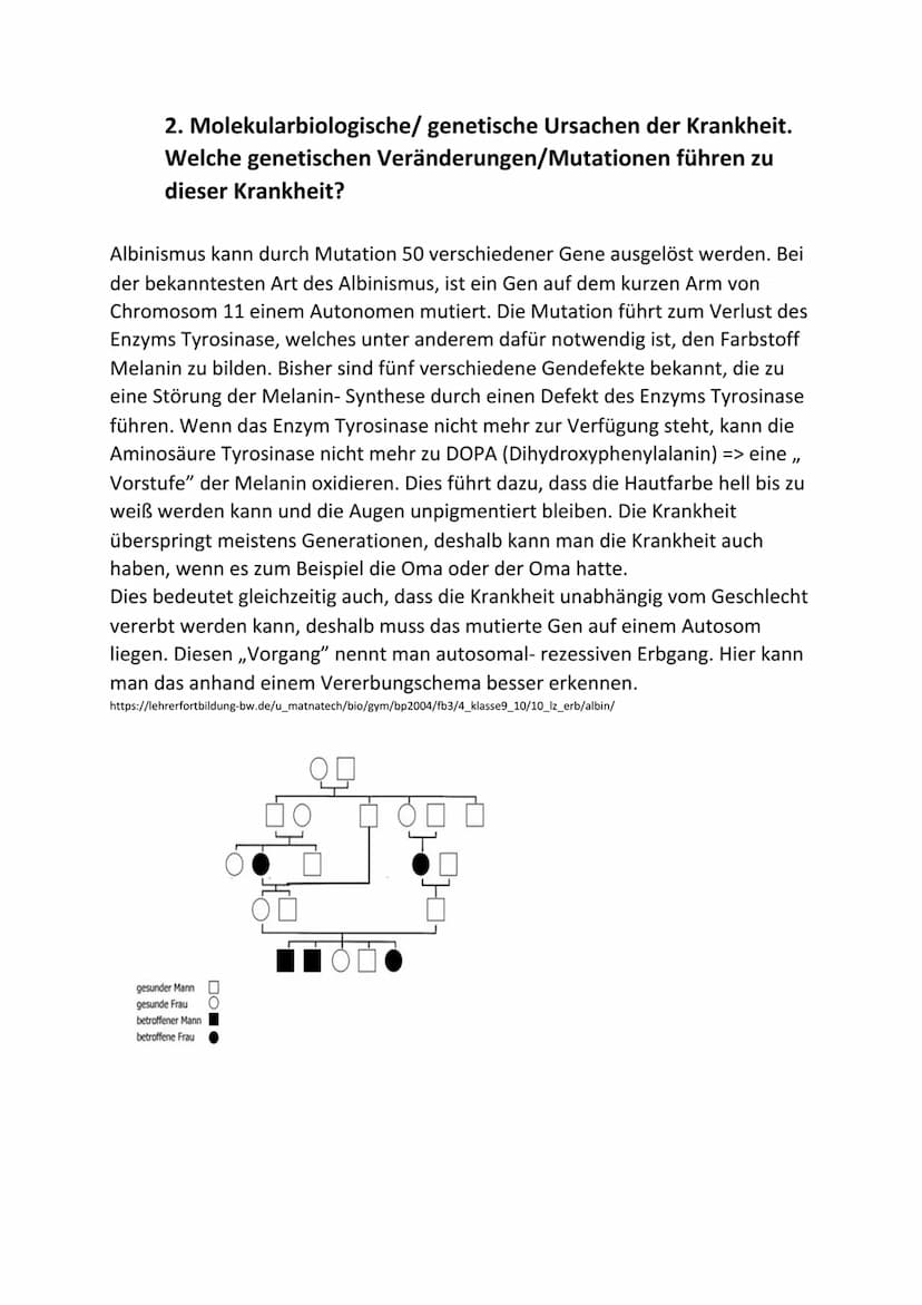 3. Wie kann es aufgrund der genetischen
Veränderungen/Mutationen
kommen?
zu den Krankheitssymptomen
Direkte gesundheitliche Schäden treten d