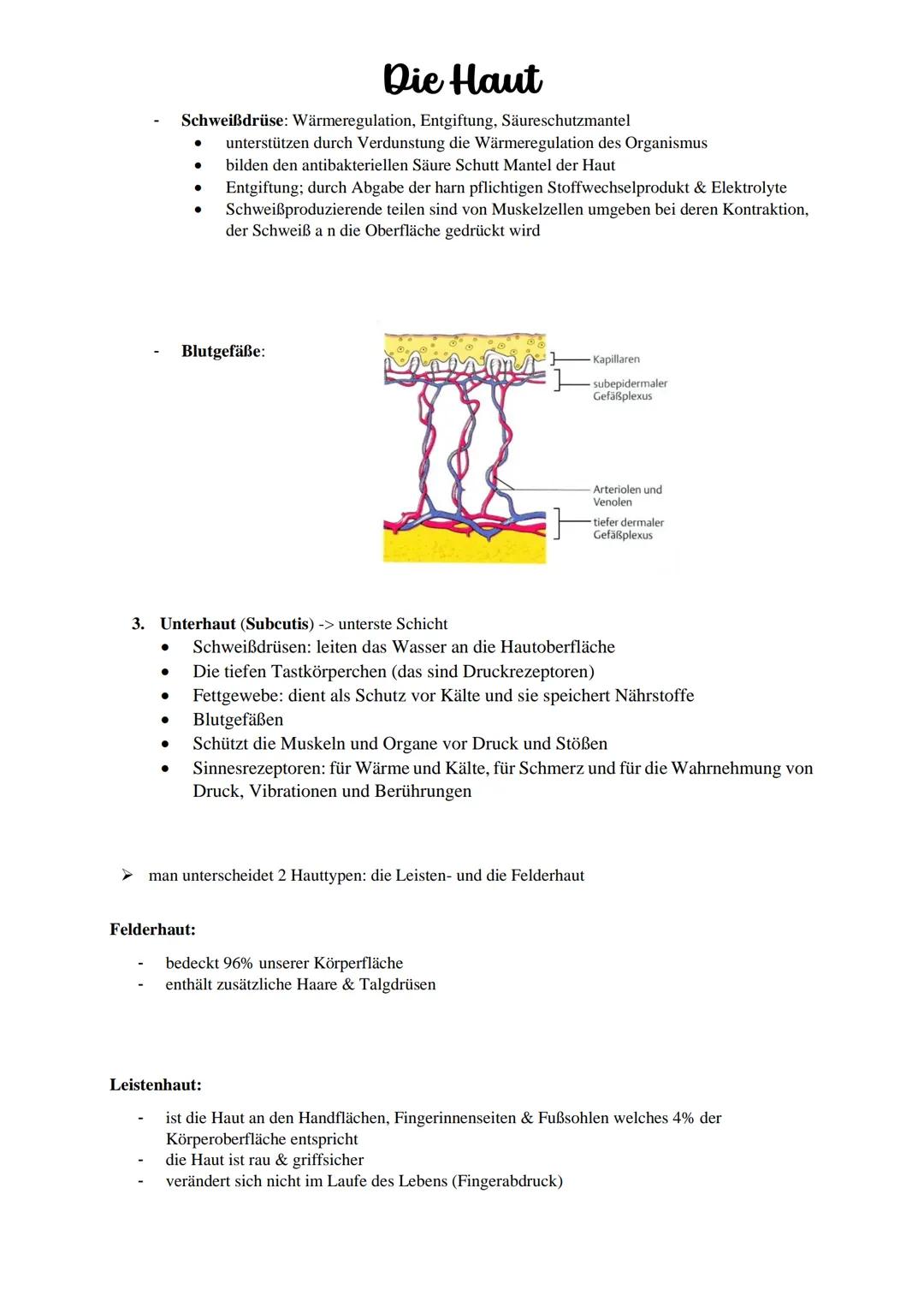 Die Haut
Einleitung:
► Unsere größtes (1,5- 2 m), dünnstes (1-4 mm) und schwerstes Organ (bis 14 kg)
➤ Das Organ mit meisten Funktionen
Schü