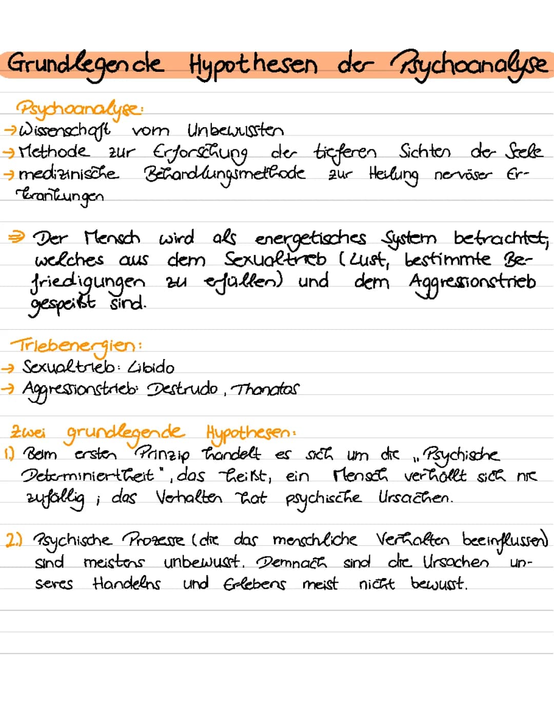Grundlegende Hypothesen der Psychoanalyse 
