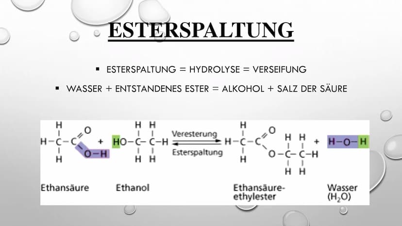 EINE NEUE STOFFGRUPPE –
DIE ESTER
CHEMIE GFS
VON TAMARA FUHR 10B GLIEDERUNG
✓ WER HAT ESTER ENTDECKT?
✓ WAS IST EIN ESTER?
✓ EIGENSCHAFTEN V