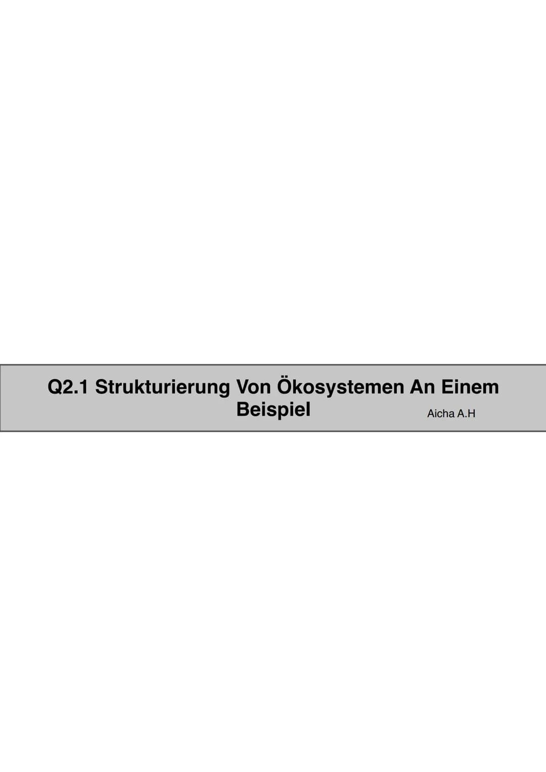 Q2.1 Strukturierung von Ökosystemen an einem Beispiel