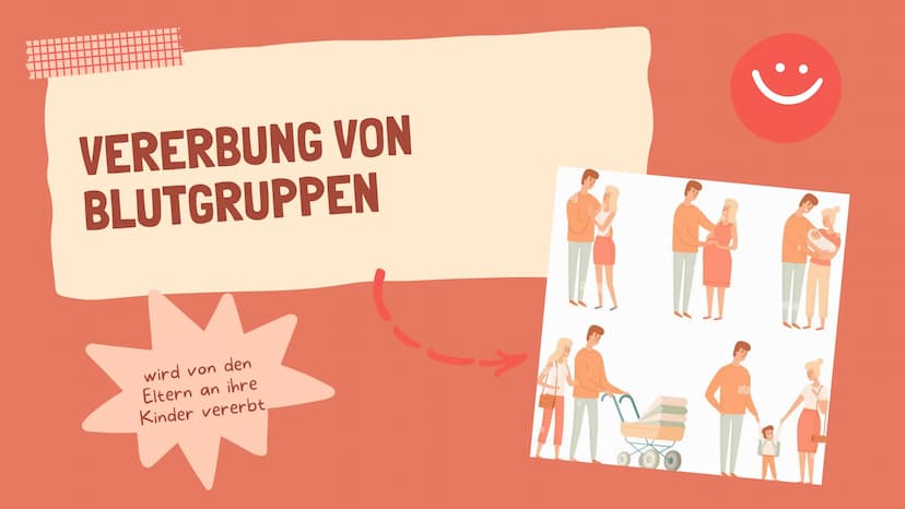 07.02.2022
BLUT IST
NICHT GLEICH
BLUT!
Biologie
Blut und Blutgruppen IS
WEISSE BLUTKÖRPERCHEN
(LEUKOZYTEN)
BLUTPLÄTTCHEN
(THROMBOZYTEN)
ROTE
