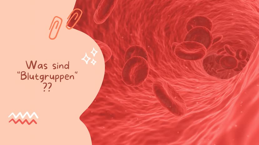 07.02.2022
BLUT IST
NICHT GLEICH
BLUT!
Biologie
Blut und Blutgruppen IS
WEISSE BLUTKÖRPERCHEN
(LEUKOZYTEN)
BLUTPLÄTTCHEN
(THROMBOZYTEN)
ROTE