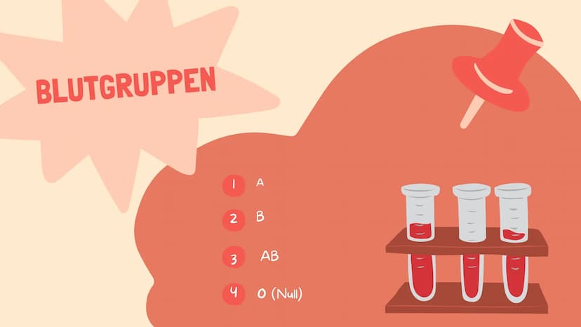 07.02.2022
BLUT IST
NICHT GLEICH
BLUT!
Biologie
Blut und Blutgruppen IS
WEISSE BLUTKÖRPERCHEN
(LEUKOZYTEN)
BLUTPLÄTTCHEN
(THROMBOZYTEN)
ROTE