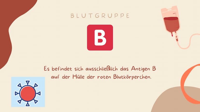 07.02.2022
BLUT IST
NICHT GLEICH
BLUT!
Biologie
Blut und Blutgruppen IS
WEISSE BLUTKÖRPERCHEN
(LEUKOZYTEN)
BLUTPLÄTTCHEN
(THROMBOZYTEN)
ROTE