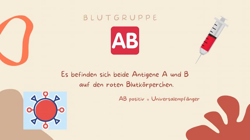 07.02.2022
BLUT IST
NICHT GLEICH
BLUT!
Biologie
Blut und Blutgruppen IS
WEISSE BLUTKÖRPERCHEN
(LEUKOZYTEN)
BLUTPLÄTTCHEN
(THROMBOZYTEN)
ROTE