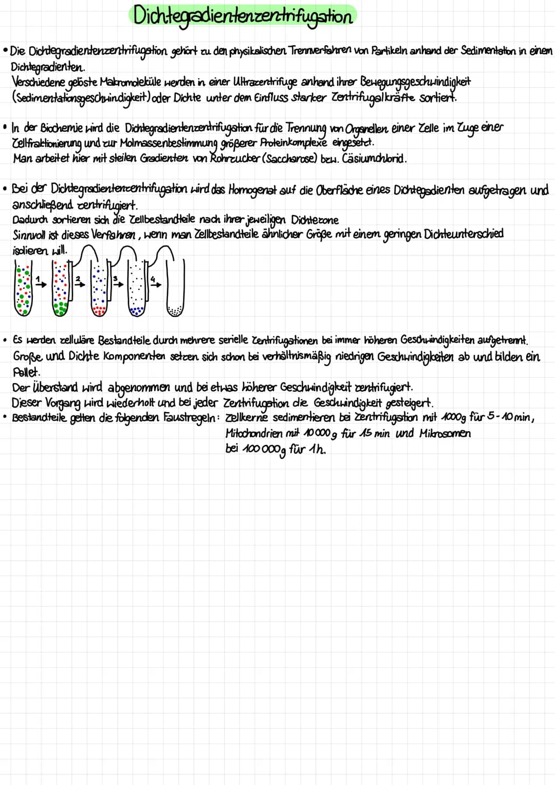 Aufbau von tierischen und pflanzlichen Zellen (einschließlich der Kenntnis des Aufbaus und der Funktion aller
Zellbestandteile /organellen)
