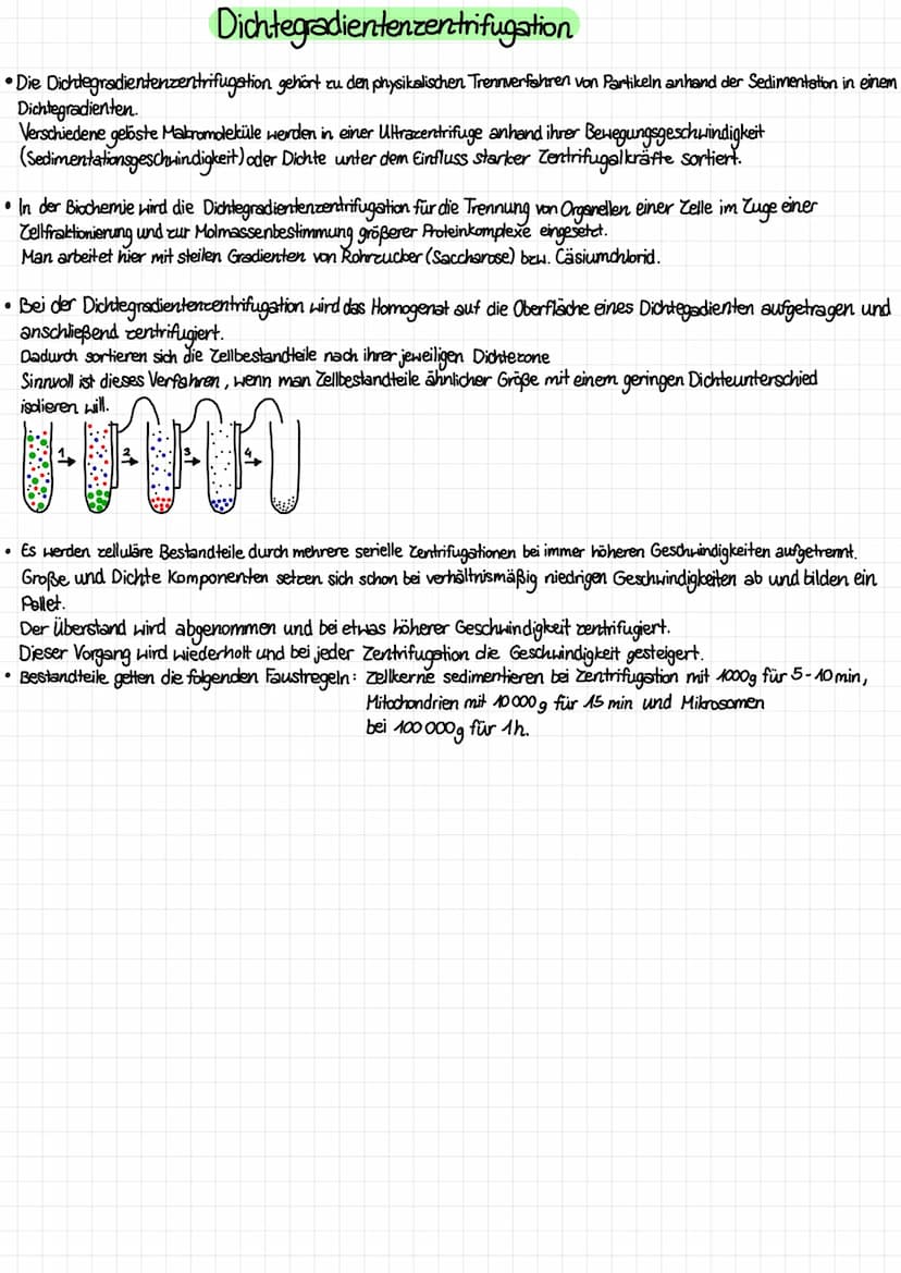 Aufbau von tierischen und pflanzlichen Zellen (einschließlich der Kenntnis des Aufbaus und der Funktion aller
Zellbestandteile /organellen)
