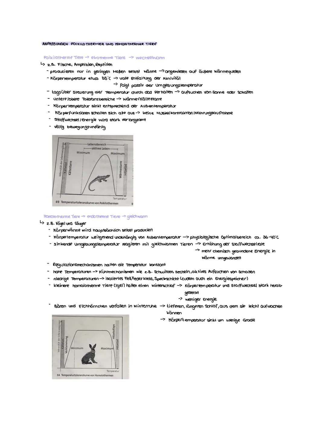 DEFINITION: TOLERANZKURVE EINER ART
Toleranzkurve:
سهملمية
Abiotische Umweltfaktoren
Die Toleranzkurve wird auch optimums kurve genannt. Sie