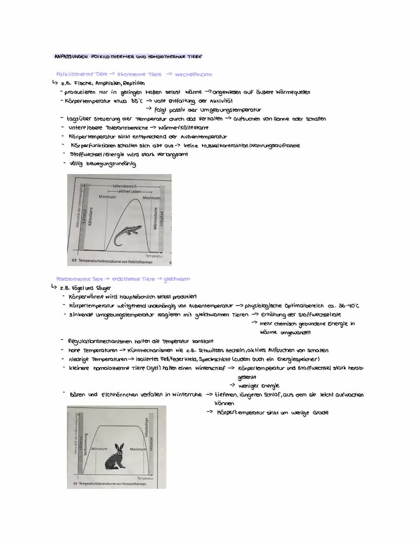 DEFINITION: TOLERANZKURVE EINER ART
Toleranzkurve:
سهملمية
Abiotische Umweltfaktoren
Die Toleranzkurve wird auch optimums kurve genannt. Sie