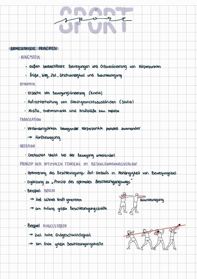Know Biomechanische Prinzipien und Krafttraining thumbnail