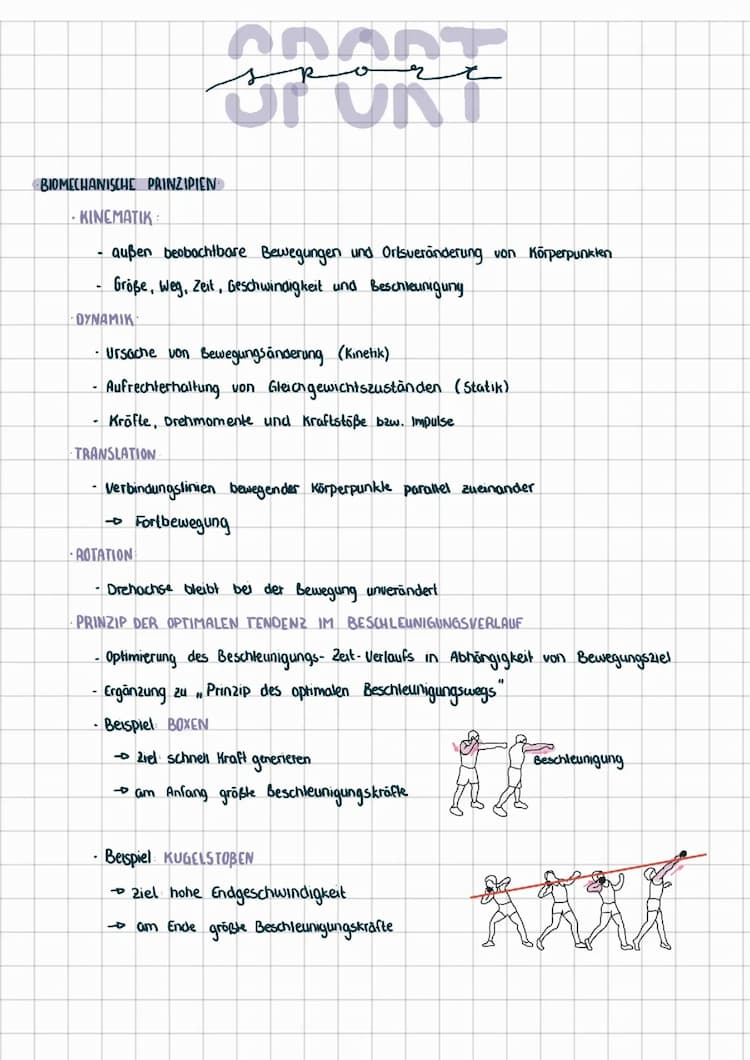Know Biomechanische Prinzipien und Krafttraining thumbnail