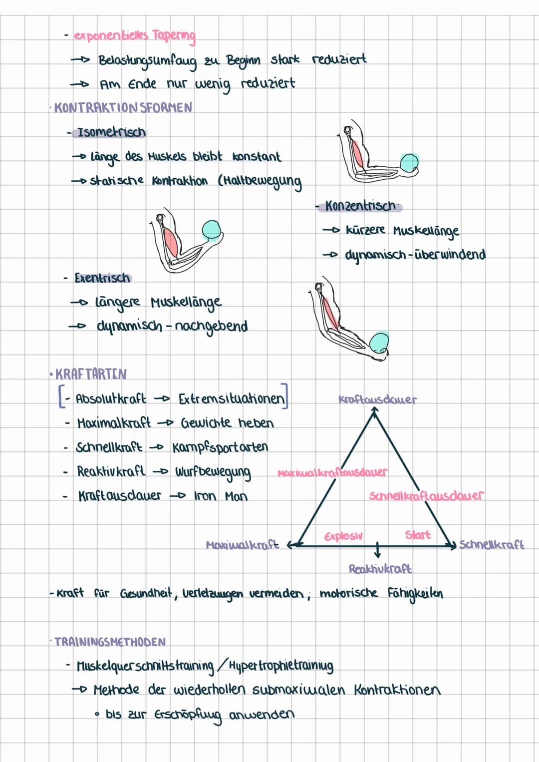 BIOMECHANISCHE PRINZIPIEN
OPORT
·KINEMATIK:
außen beobachtbare Bewegungen und Ortsveränderung von Körperpunkten
Größe, Weg, Zeit, Geschwindi