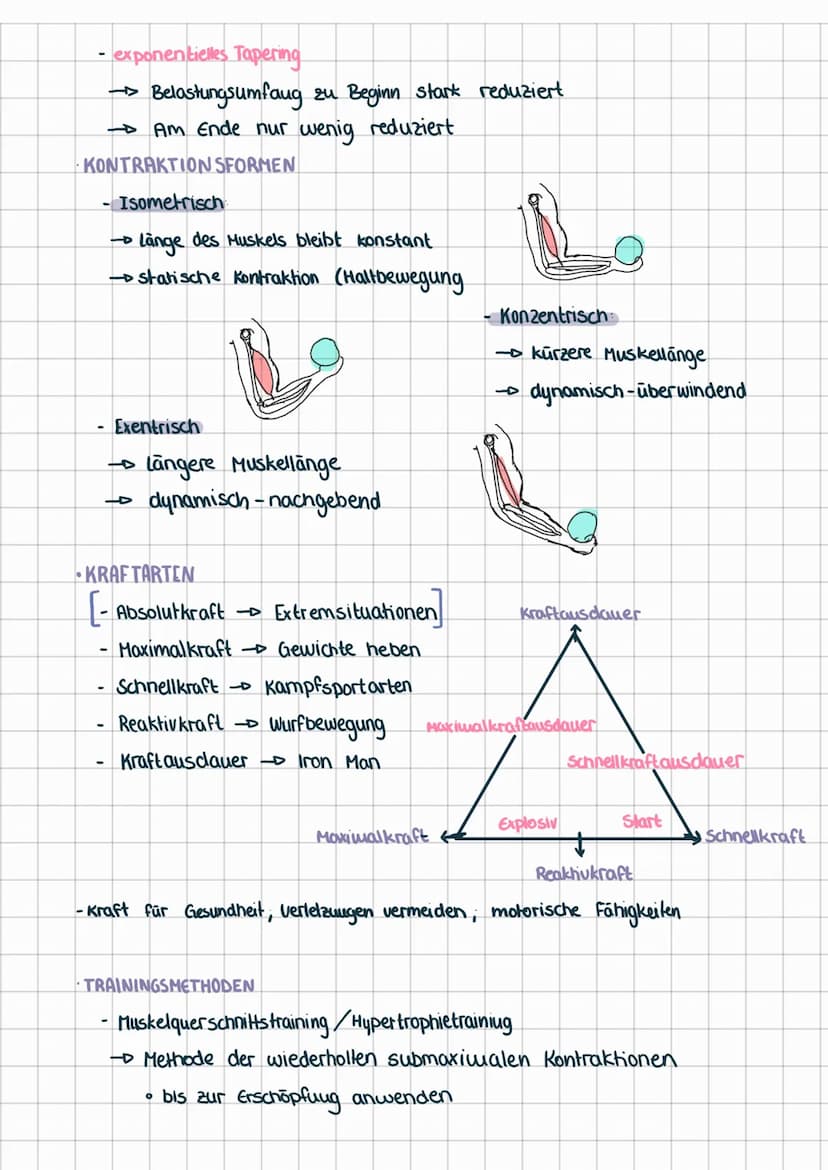 BIOMECHANISCHE PRINZIPIEN
OPORT
·KINEMATIK:
außen beobachtbare Bewegungen und Ortsveränderung von Körperpunkten
Größe, Weg, Zeit, Geschwindi