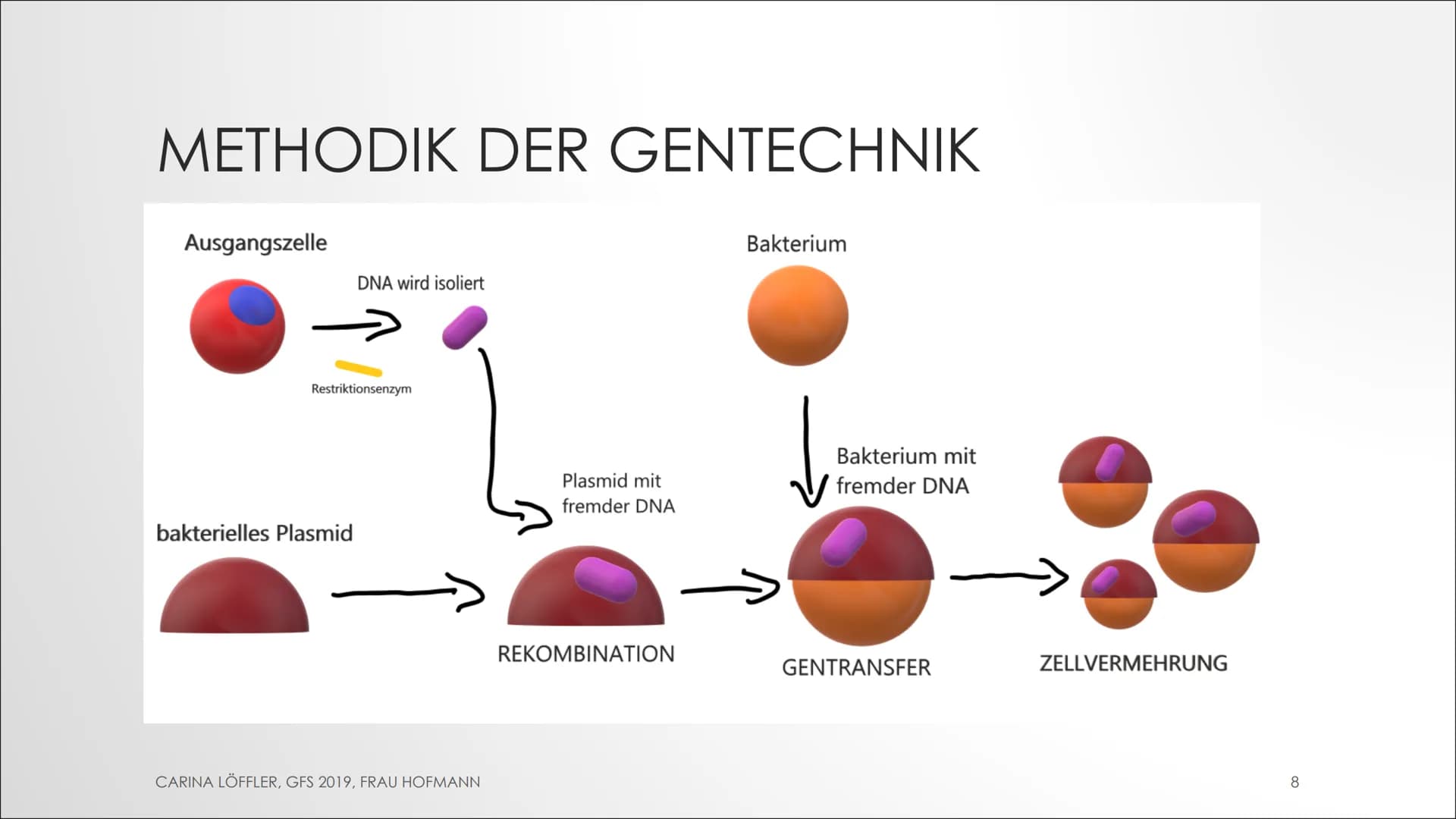 GENFOOD
GENTECHNIK
GFS Biologie
AM BEISPIEL VON LEBENSMITTELN INHALT
.
Definition
Arten von Gentechnik
Ziele der Gentechnik
Zeitliche Entwic