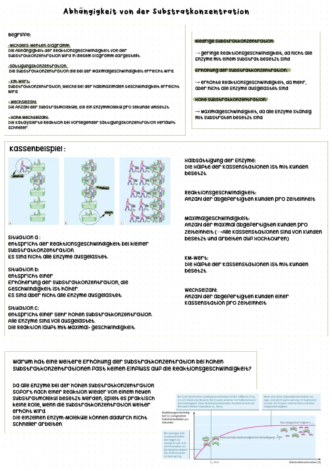 Enzyme und deren Abhängigkeit von der Substratkonzentration 