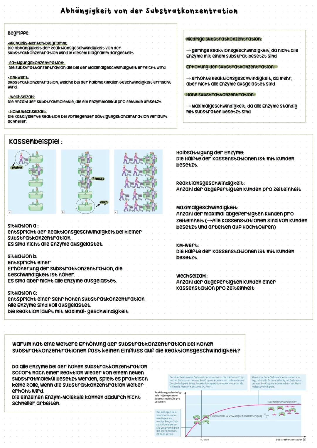 Begriffe:
-Michaelis-Menten-Diagramm:
Die Abhängigkeit der Reaktionsgeschwindigkeit von der
substratkonzentration wird in diesem Diagramm da