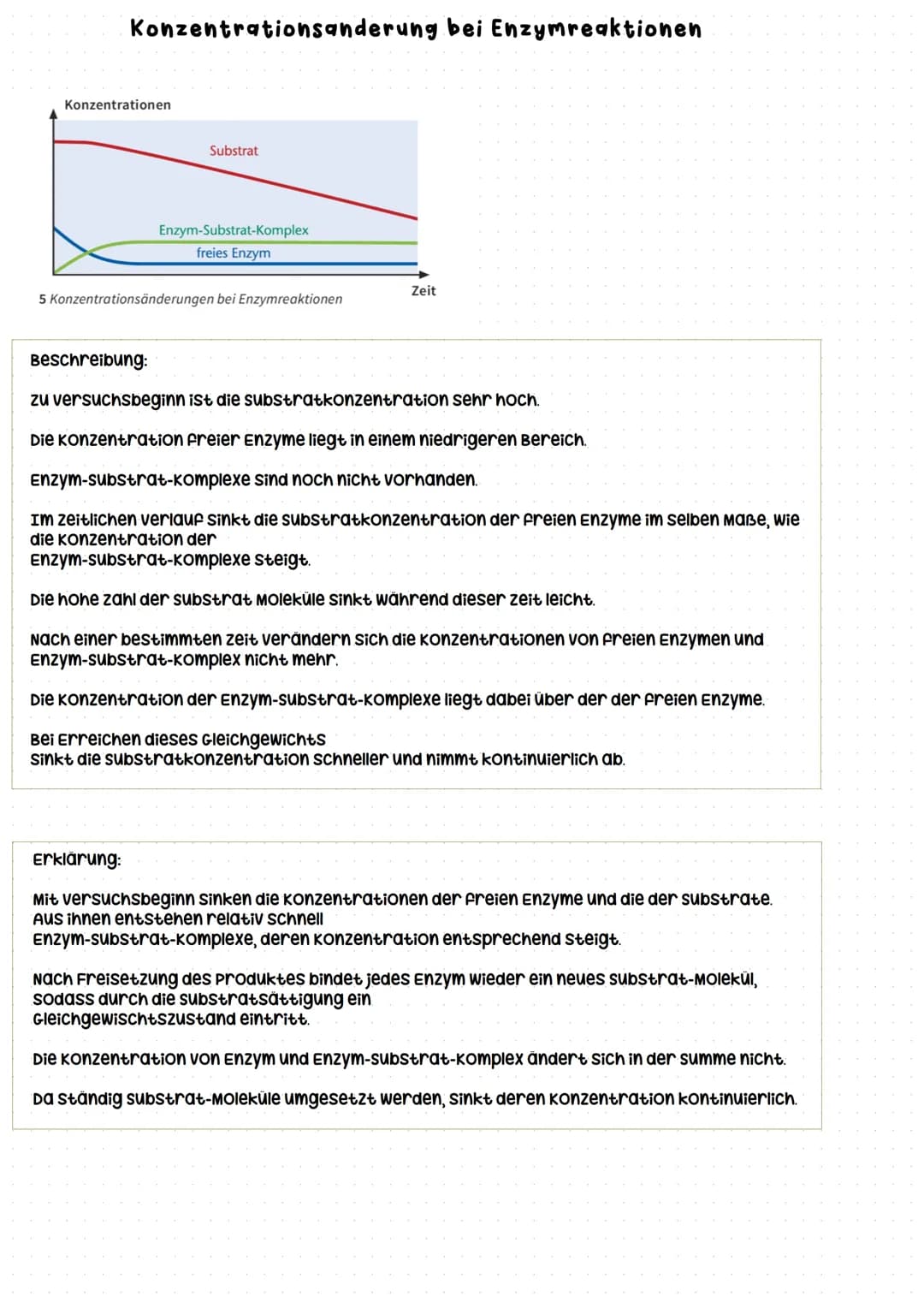 Begriffe:
-Michaelis-Menten-Diagramm:
Die Abhängigkeit der Reaktionsgeschwindigkeit von der
substratkonzentration wird in diesem Diagramm da