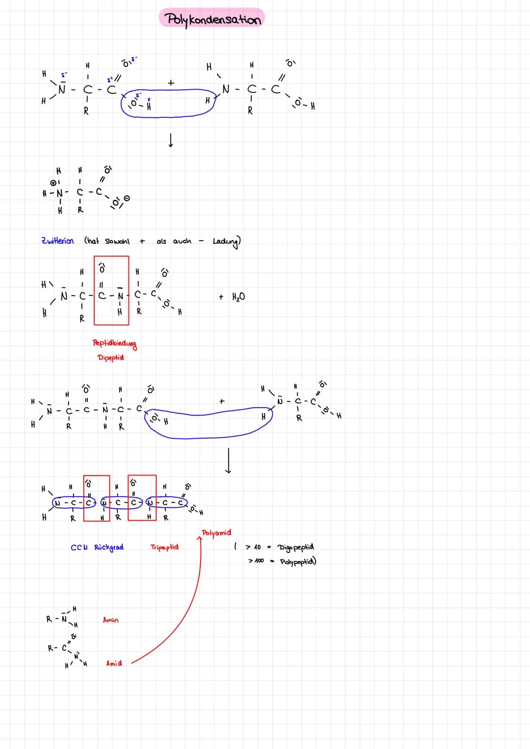 n
Die
1,6 Diaminohexan
H
IN-
I
H
-
H
(
6
1
IN
с
1
Synthese von Nylon 6.6
I
с C
1
1
@ Polyester
I
Die Polykondensation
T
I
Nylon 6.6
I
I
NI
L