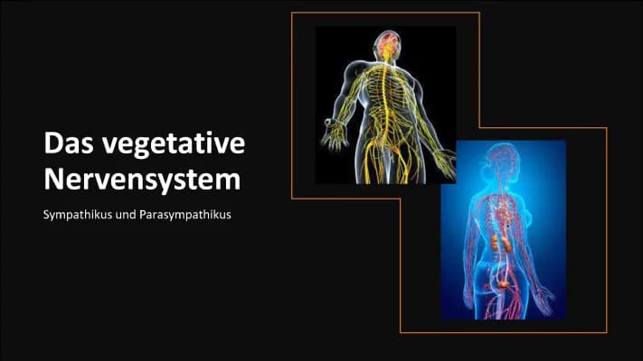 Know Das vegetative Nervensystem Sympathikus und Parasympathikus  thumbnail