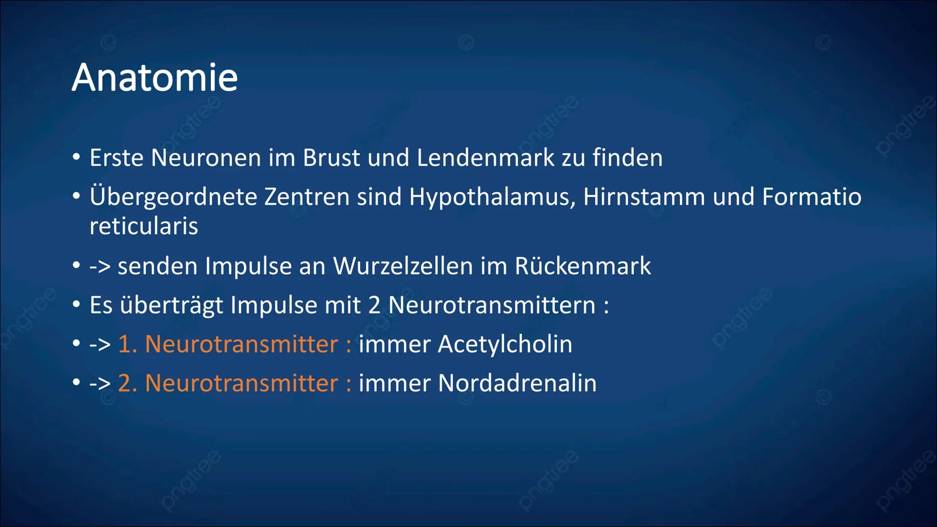 
<h2 id="definitiondesvegetativennervensystemsbeispiel">Definition des vegetativen Nervensystems + Beispiel</h2>
<p>Das vegetative Nervensys