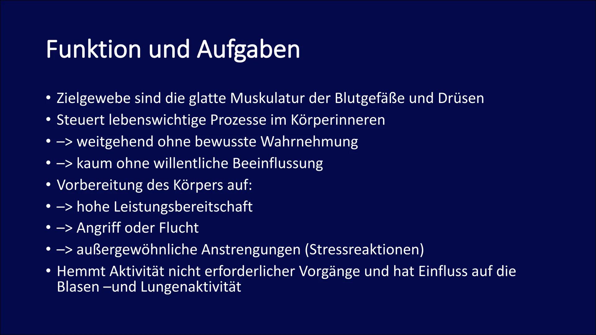 
<h2 id="definitiondesvegetativennervensystemsbeispiel">Definition des vegetativen Nervensystems + Beispiel</h2>
<p>Das vegetative Nervensys