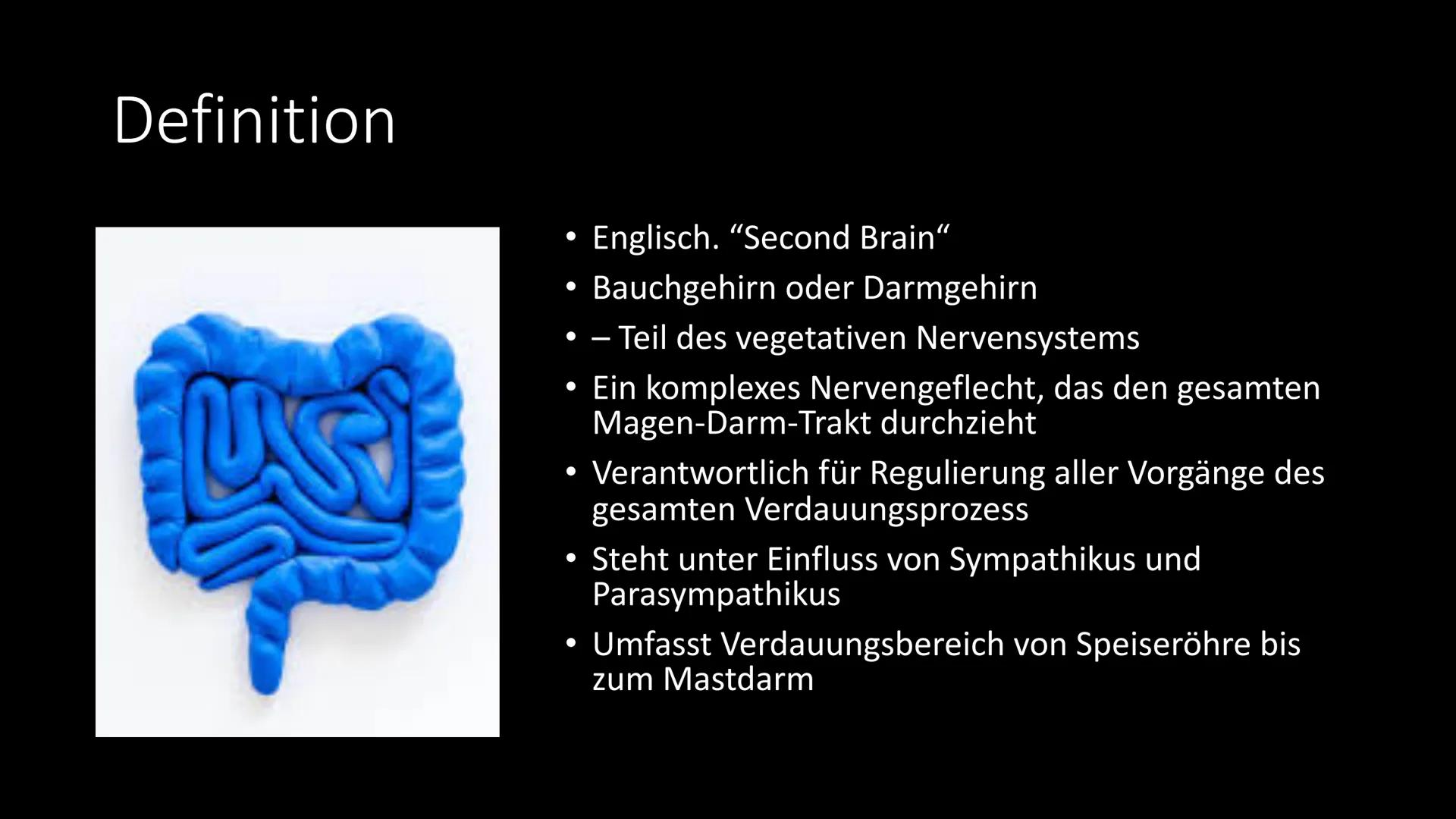 
<h2 id="definitiondesvegetativennervensystemsbeispiel">Definition des vegetativen Nervensystems + Beispiel</h2>
<p>Das vegetative Nervensys