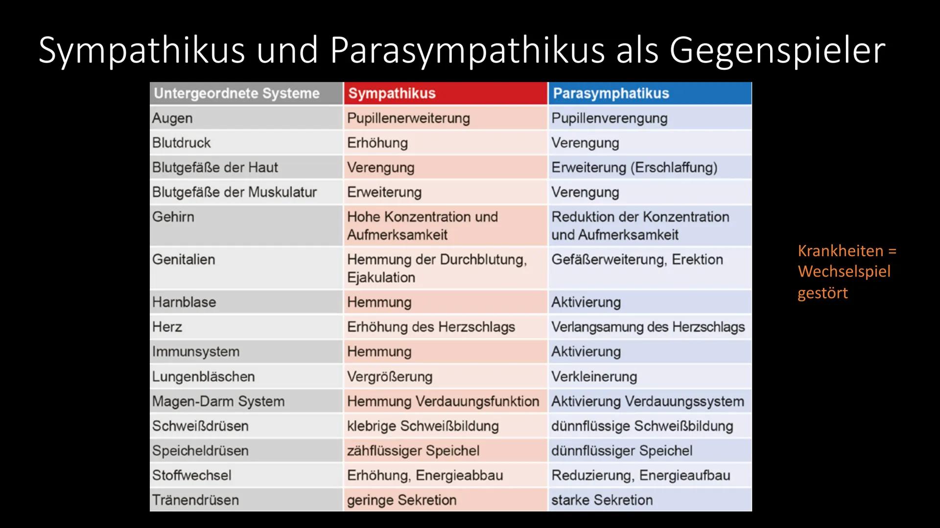 
<h2 id="definitiondesvegetativennervensystemsbeispiel">Definition des vegetativen Nervensystems + Beispiel</h2>
<p>Das vegetative Nervensys