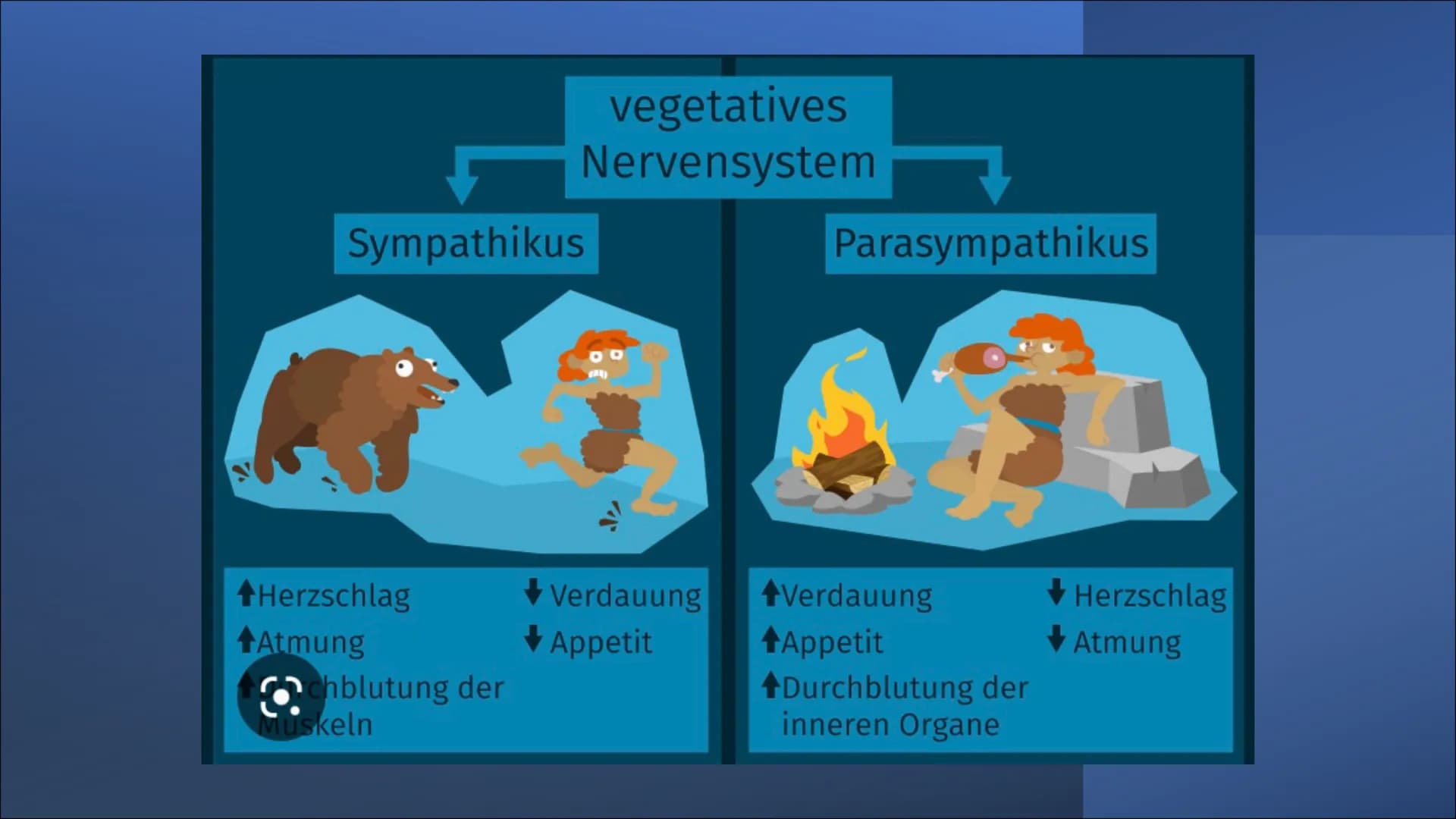 
<h2 id="definitiondesvegetativennervensystemsbeispiel">Definition des vegetativen Nervensystems + Beispiel</h2>
<p>Das vegetative Nervensys