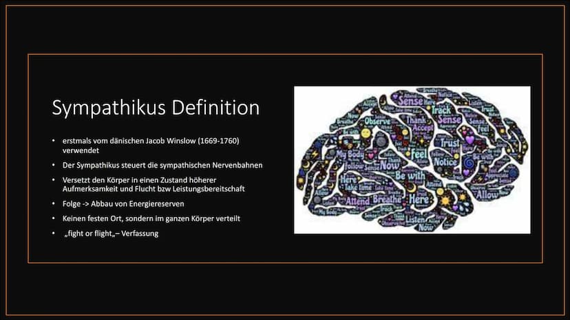 
<h2 id="definitiondesvegetativennervensystemsbeispiel">Definition des vegetativen Nervensystems + Beispiel</h2>
<p>Das vegetative Nervensys
