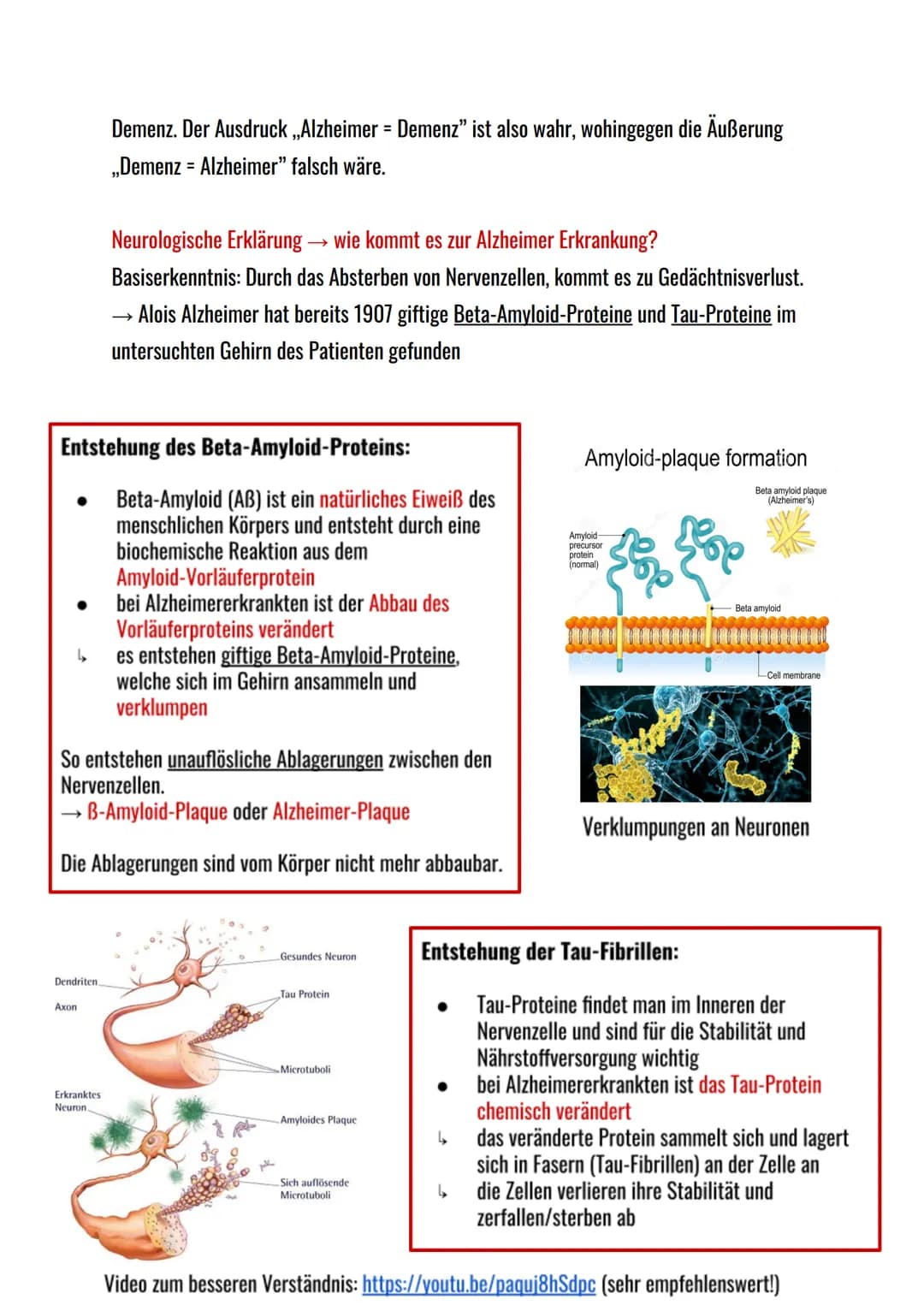 Inhaltsverzeichnis
Alzheimer
1. Was ist Alzheimer?
2. Unterschied zu Demenz
3. Neurologische Erklärung
4. Genetik
5. Symptome
6. Diagnoseste