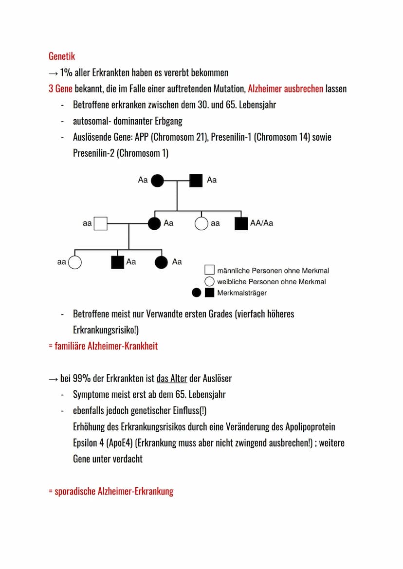 Inhaltsverzeichnis
Alzheimer
1. Was ist Alzheimer?
2. Unterschied zu Demenz
3. Neurologische Erklärung
4. Genetik
5. Symptome
6. Diagnoseste