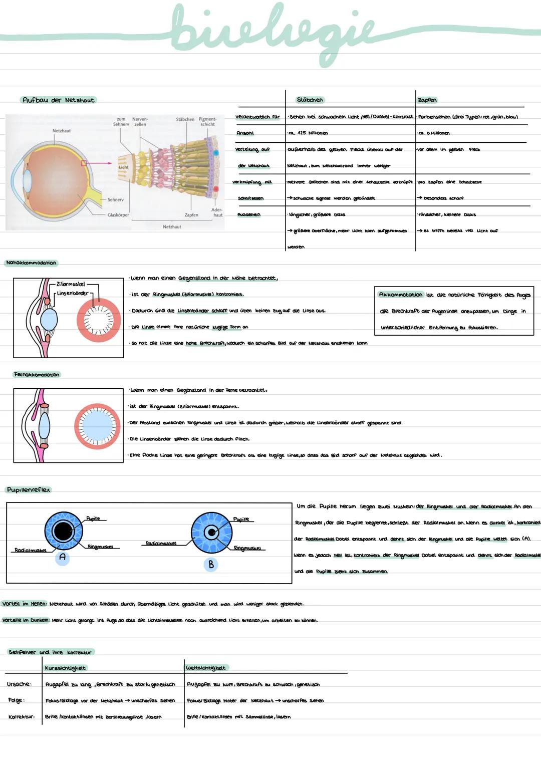Sinne des Menschen
-Haut →Tasteinn Druck, Dennung, Verletzung
-Nase →→Geruchssinn 4 Geruchsstoffe.
- Auge
→Temperatursinn 4 Wärme, kälte
-Oh