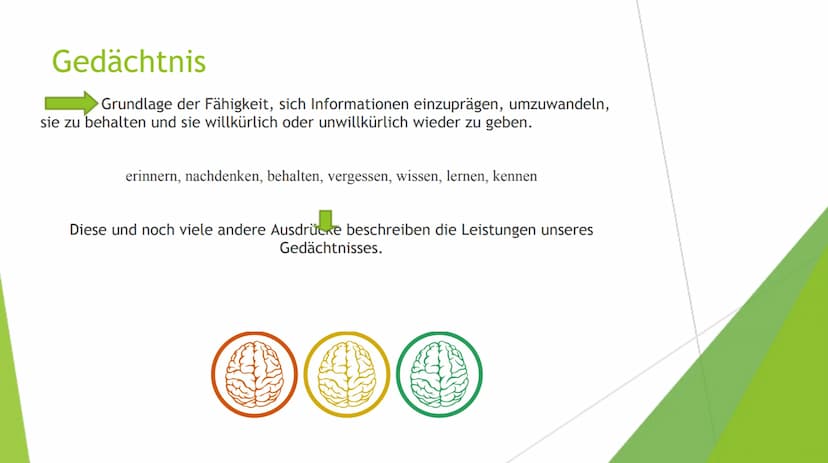 Lernen
Bio Gfs: Giulia Pototschnik 9d Gliederung
Das Gedächtnis
1. Das Ultrakurzzeitgedächtnis
Das Kurzzeitgedächtnis
Das Langzeitgedächtnis