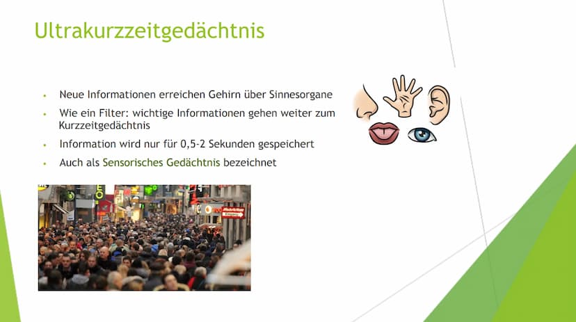 Lernen
Bio Gfs: Giulia Pototschnik 9d Gliederung
Das Gedächtnis
1. Das Ultrakurzzeitgedächtnis
Das Kurzzeitgedächtnis
Das Langzeitgedächtnis