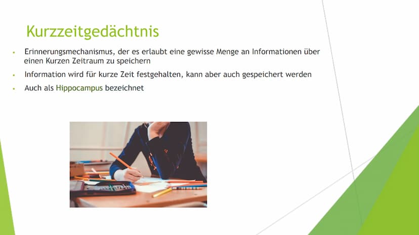 Lernen
Bio Gfs: Giulia Pototschnik 9d Gliederung
Das Gedächtnis
1. Das Ultrakurzzeitgedächtnis
Das Kurzzeitgedächtnis
Das Langzeitgedächtnis