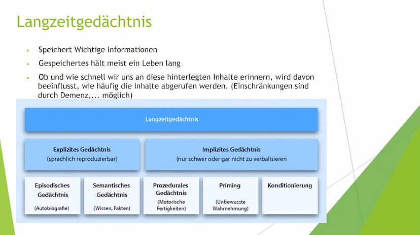 Lernen
Bio Gfs: Giulia Pototschnik 9d Gliederung
Das Gedächtnis
1. Das Ultrakurzzeitgedächtnis
Das Kurzzeitgedächtnis
Das Langzeitgedächtnis