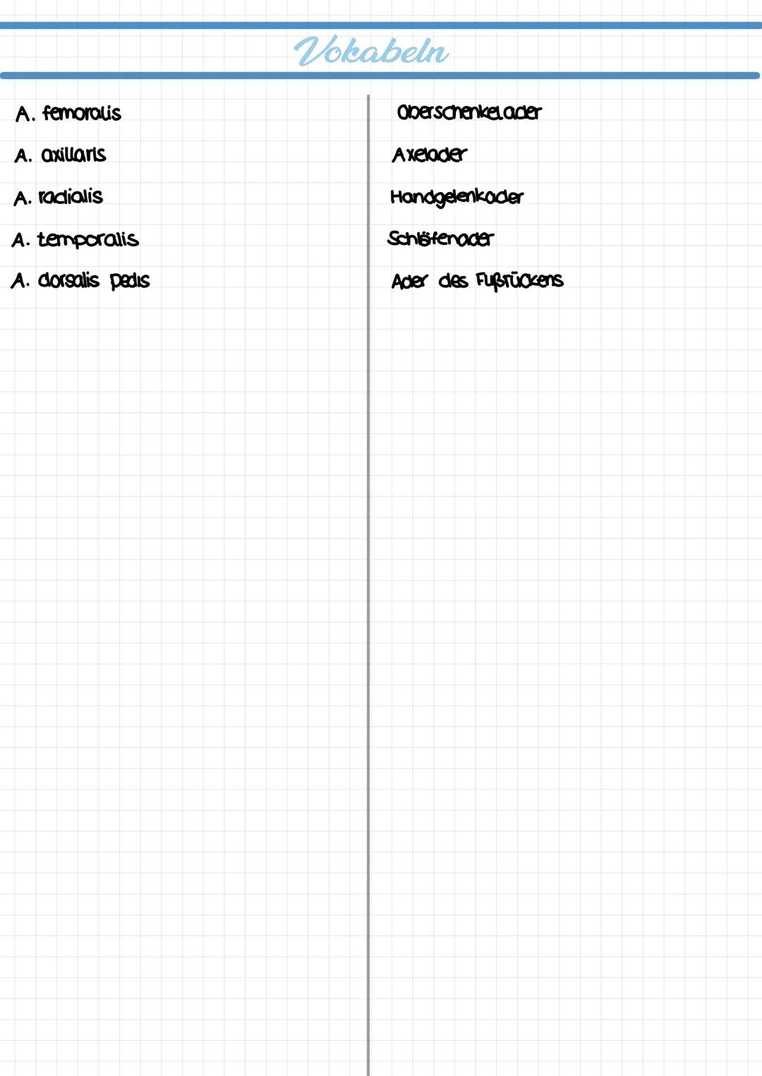  ## Vokabeln

Cor
Lumen
Atrium
Ventrikel
Septum
Ösophogus
Trochea
Perikara
Atrium cordis dextrum
Ventriculus cordis dexter
Atrium cordis sin