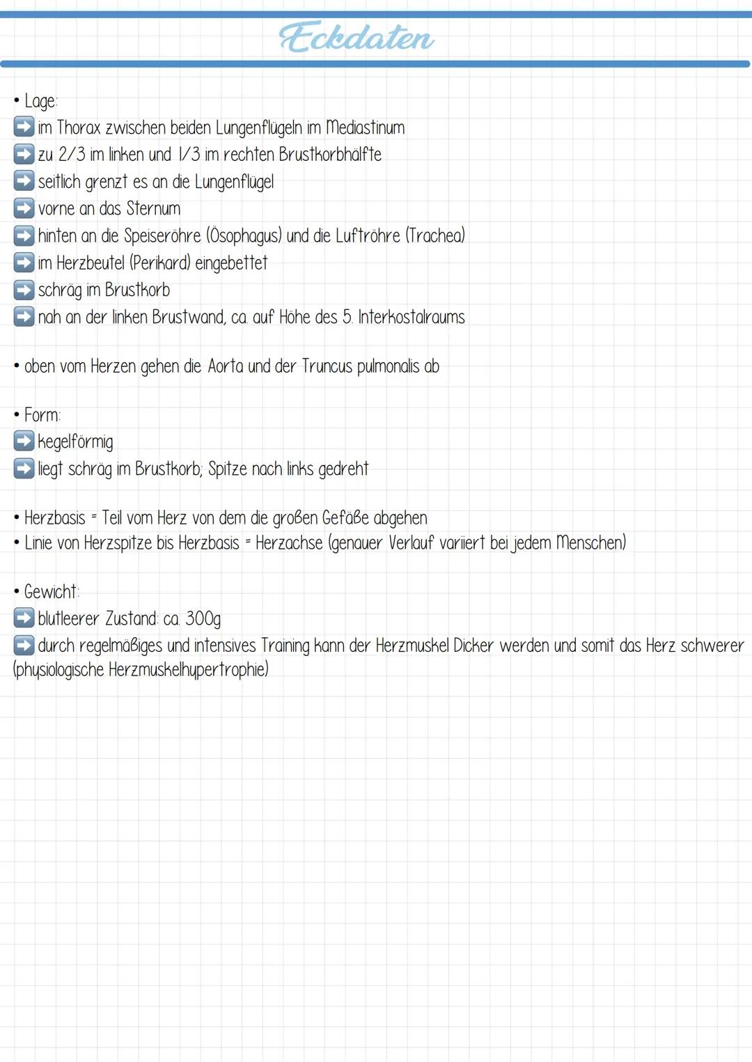  ## Vokabeln

Cor
Lumen
Atrium
Ventrikel
Septum
Ösophogus
Trochea
Perikara
Atrium cordis dextrum
Ventriculus cordis dexter
Atrium cordis sin