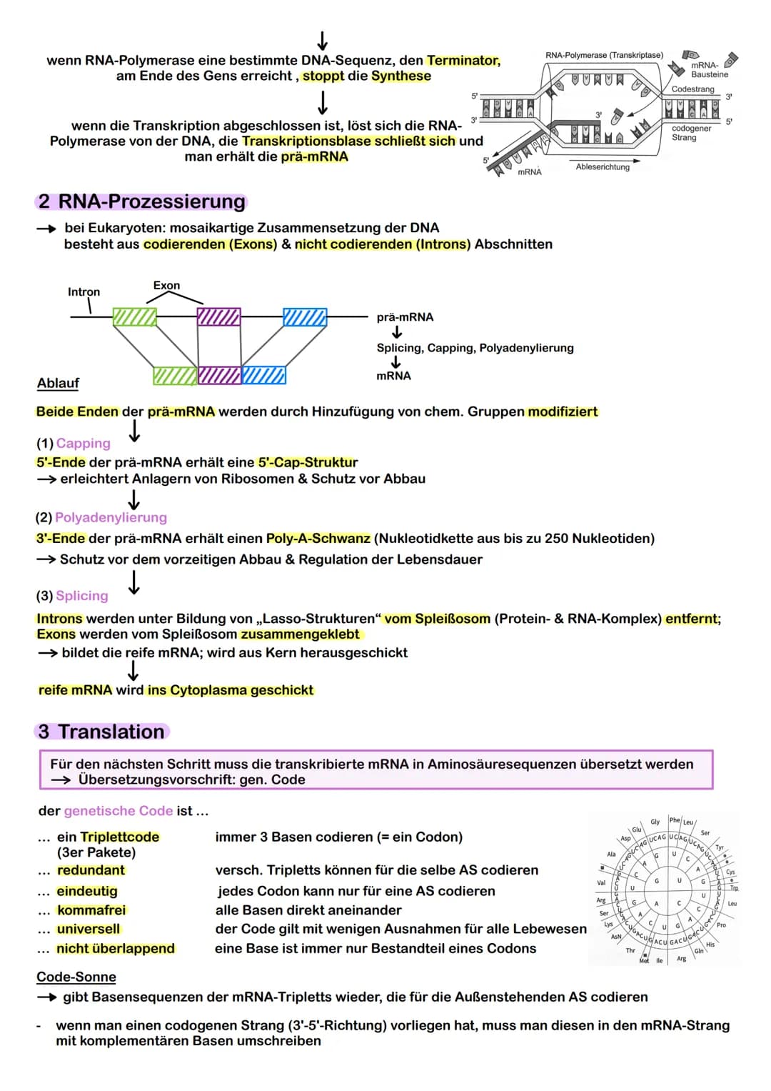 Prokaryoten & Eukaryoten
→ Prokaryoten: Organismen ohne Zellkern, DNA frei im Plasma
→ Eukaryoten: Organismen mit Zellkern, Kompartimentieru