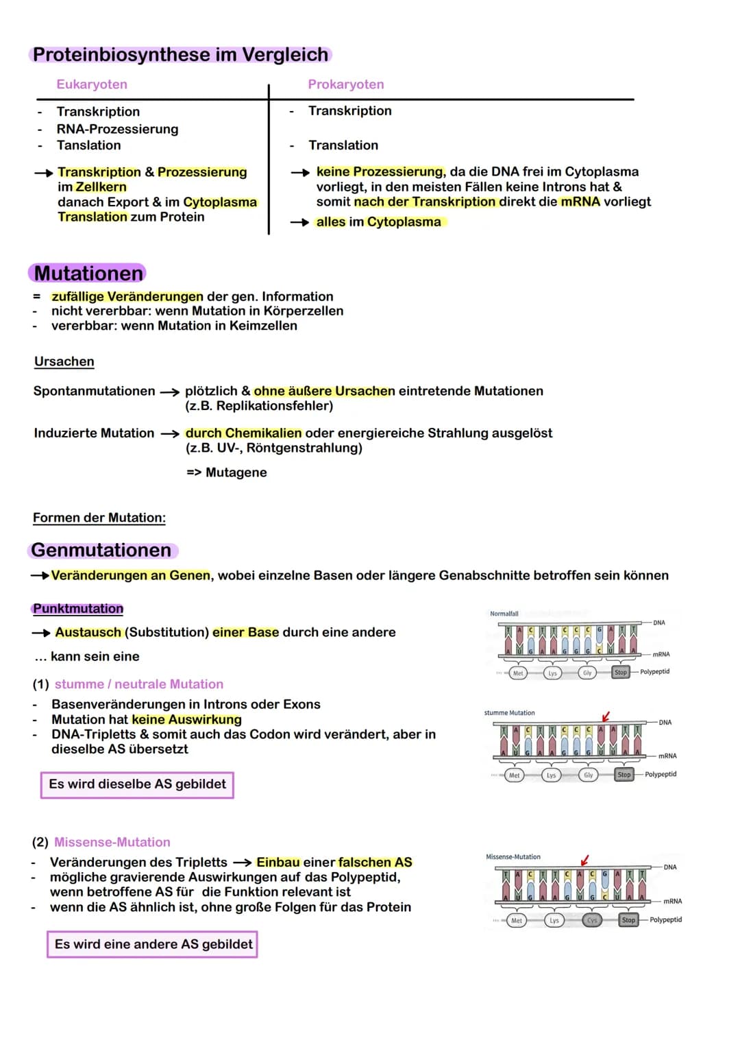 Prokaryoten & Eukaryoten
→ Prokaryoten: Organismen ohne Zellkern, DNA frei im Plasma
→ Eukaryoten: Organismen mit Zellkern, Kompartimentieru