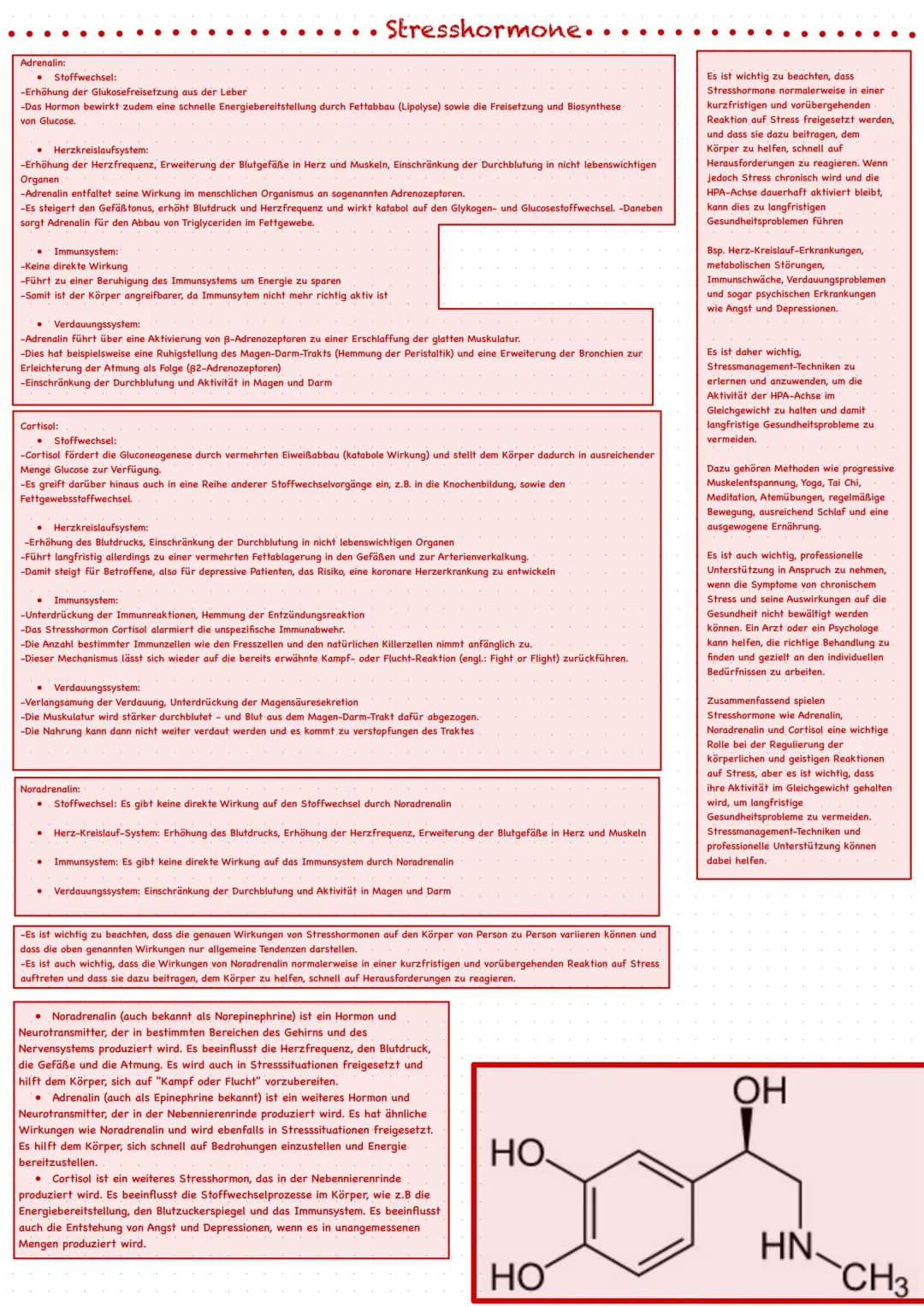 Definition Stress: Als Stress bezeichnet man die körperlichen
und geistigen Reaktionen eines Lebewesens auf bestimmte
äußere Reize, die als 