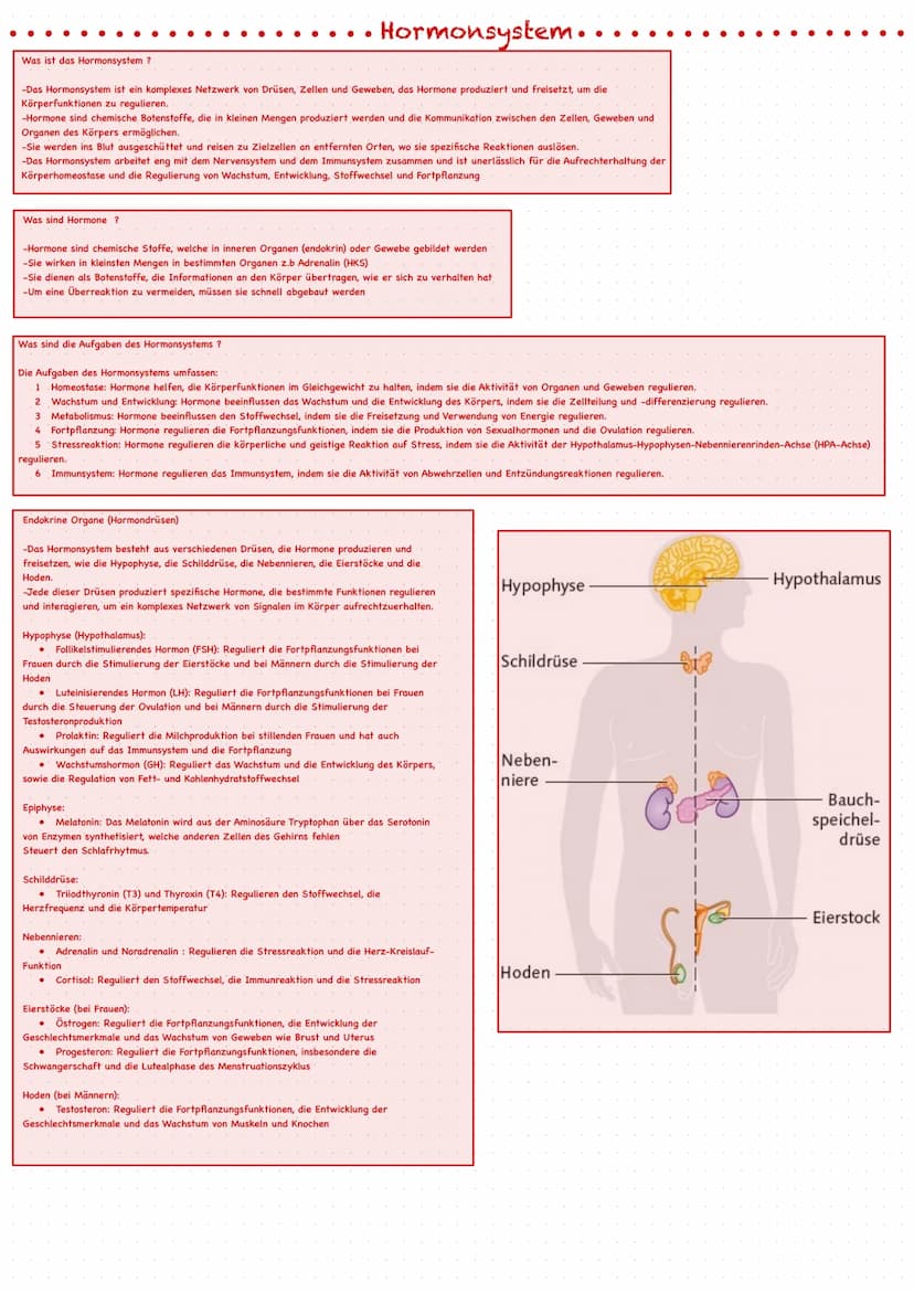 Definition Stress: Als Stress bezeichnet man die körperlichen
und geistigen Reaktionen eines Lebewesens auf bestimmte
äußere Reize, die als 