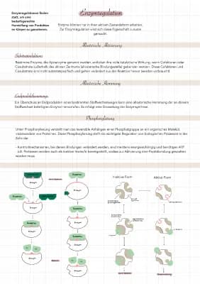 Know Hemmung der Enzymaktivität und Enzymregulation  thumbnail