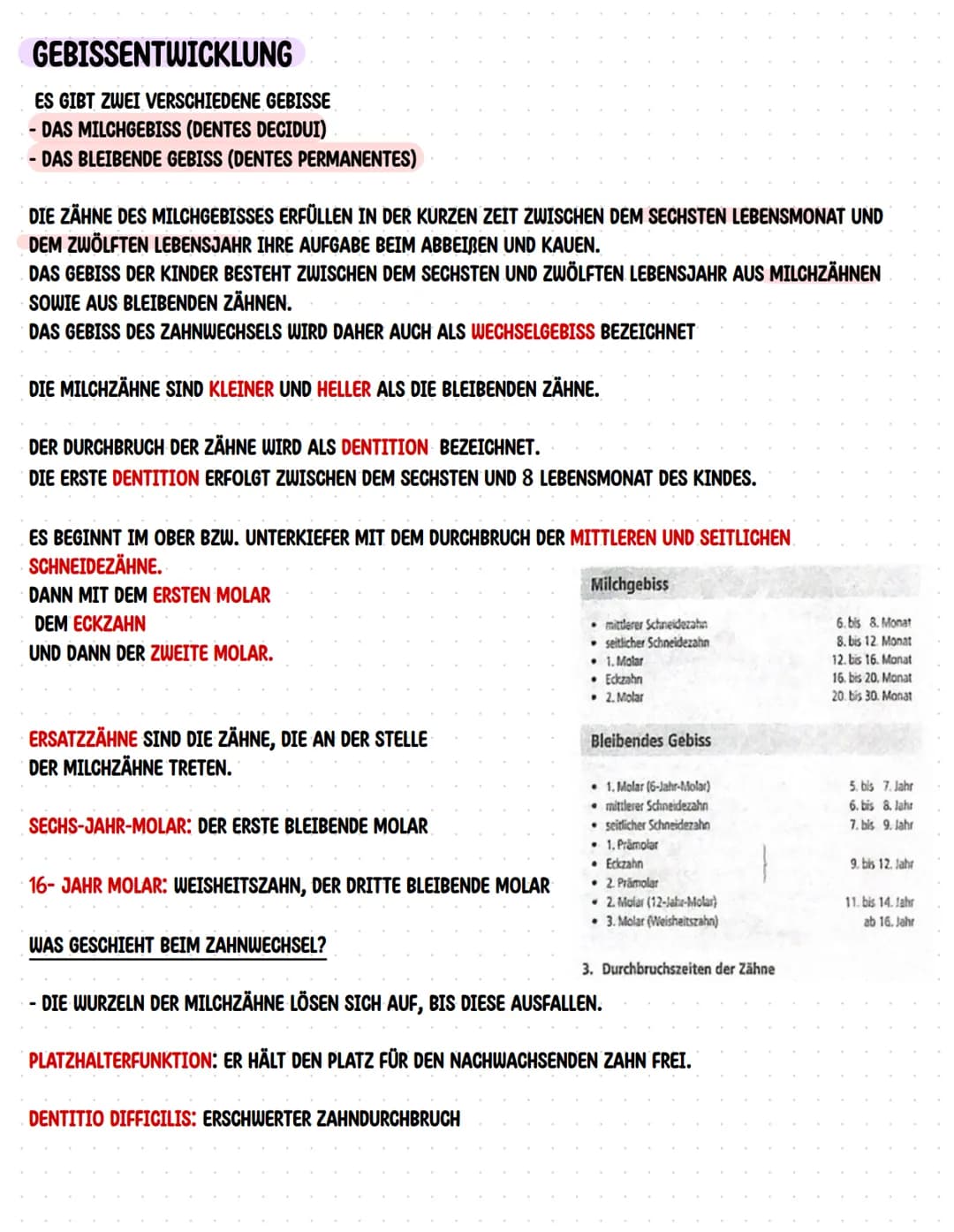 Lernzettel Lernfeld 2
Aufbau und ANZAHL Der Zähne
ZAHNAUFBAU VON AUBEN
- ZAHNKRONE (CORONA)
- ZAHNHALS (CERVIX)
- ZAHNWURZEL (RADIX)
ZAHNAUF