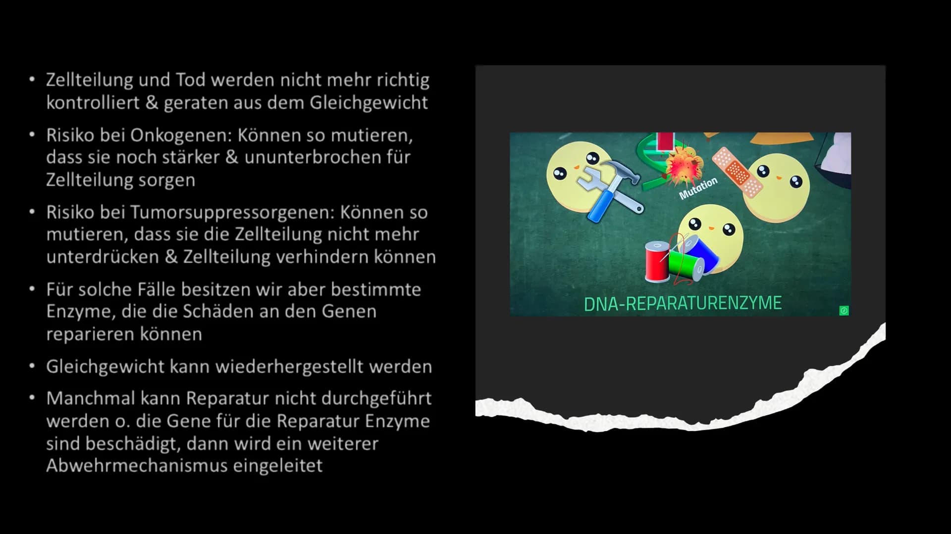 Mutation - Krebs Gliederung
1. Allgemeine Fakten über Krebs
2. Entstehung
3. Mutation
4. Ras-Protein
5. P53-Protein
6. Ursachen
7. Symptome
