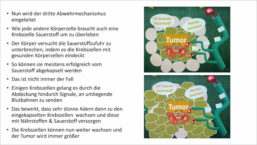 Mutation - Krebs Gliederung
1. Allgemeine Fakten über Krebs
2. Entstehung
3. Mutation
4. Ras-Protein
5. P53-Protein
6. Ursachen
7. Symptome
