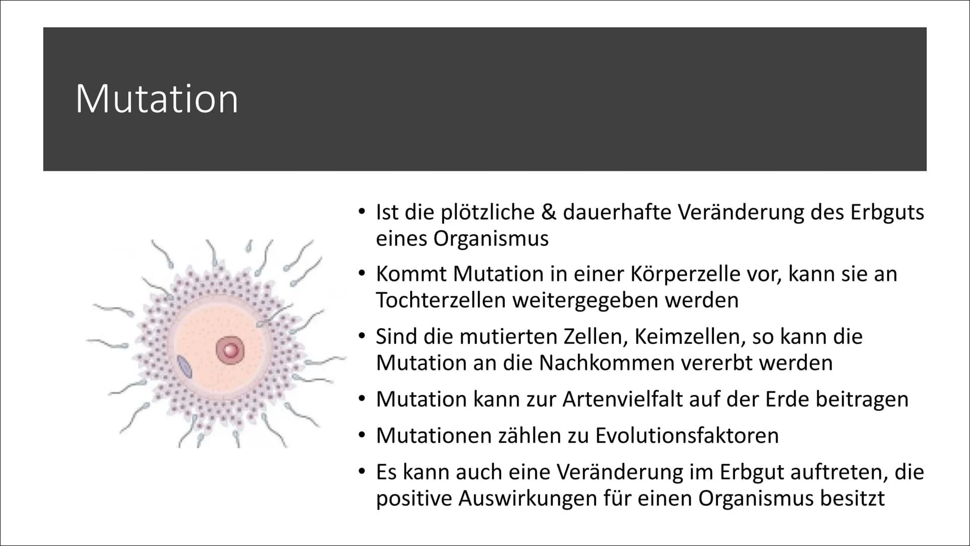 Mutation - Krebs Gliederung
1. Allgemeine Fakten über Krebs
2. Entstehung
3. Mutation
4. Ras-Protein
5. P53-Protein
6. Ursachen
7. Symptome
